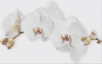 Cersanit Marisol White Inserto Flower WD956-008 dekorcsempe 25 x 40